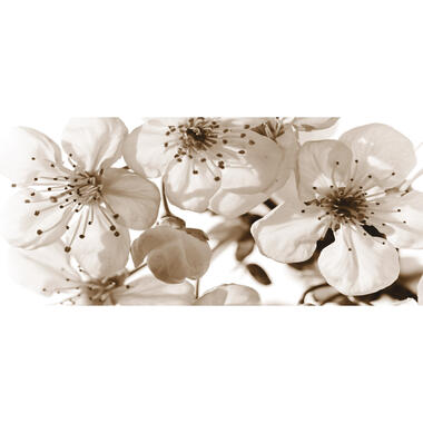 Sanders & Sanders poster - bloemen - beige - 202 x 90 cm - 600915 product