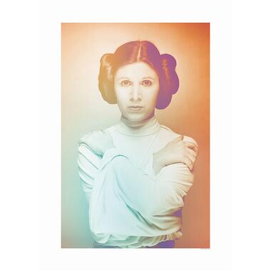 Komar poster - Star Wars Classic Icons Color Leia - oranje en groen product