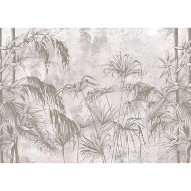 Sanders & Sanders poster - tropische planten - grijs - 1.1 x 1.55 m - 601238 product