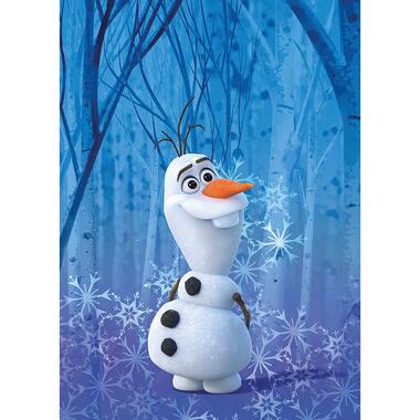 Komar poster - Frozen Olaf - blauw - 50 x 70 cm - 610148 product