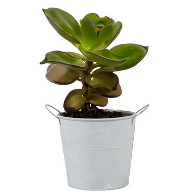 Mega Collections Emmer/plantenpot - zink - lichtgrijs - D18 x H16 cm product