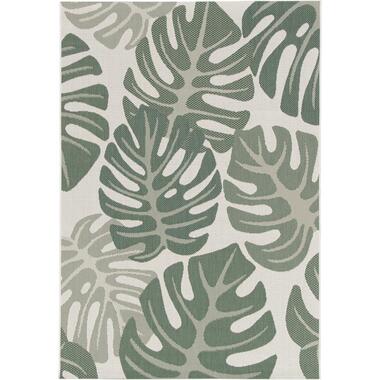 Garden Impressions Buitenkleed Naturalis 200x290 cm - desert green product