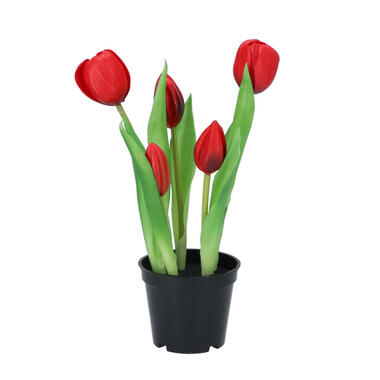 DK Design Kunst tulpen in pot - Holland - 5x stuks - rood - 26 cm product