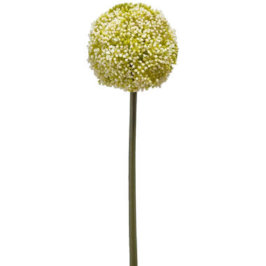 Emerald Emerald Allium/Sierui kunstbloem - wit/groen - 75 cm product