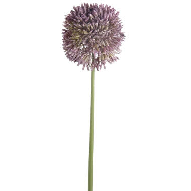 Emerald Emerald Allium/Sierui kunstbloem - lila paars - 65 cm product