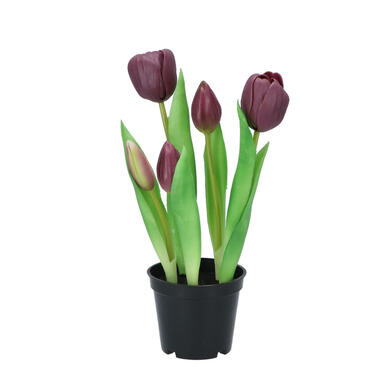 DK Design Kunst tulpen in pot - Holland - 5x stuks - donker paars - 26 cm product