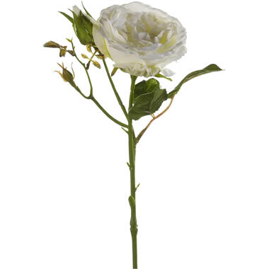 Emerald Kunstbloem roos Anne - creme wit - 37 cm - decoratie bloemen product