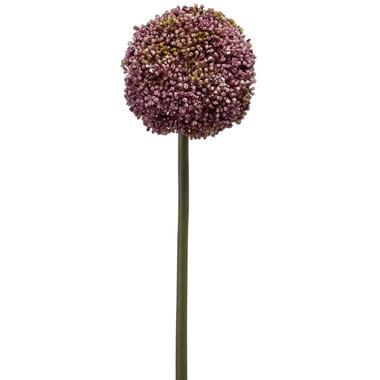 Emerald Emerald Allium/Sierui kunstbloem - paars - 75 cm product