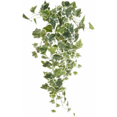 Emerald kunstplant/hangplant - Klimop/hedera - groen/wit - 70 cm lang product