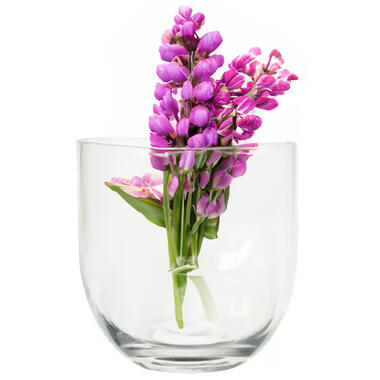 Bloemenvaas Karel - transparant glas - D19 x H19 cm - decoratieve vaas product