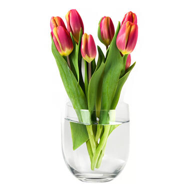 Bloemenvaas Karel - transparant glas - D27 x H27 cm - decoratieve vaas product