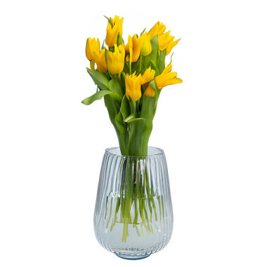 Bloemenvaas Amar - transparant glas - D25 x H29 cm - decoratieve vaas product