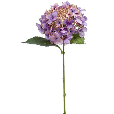 Emerald Kunstbloem hortensia tak - 50 cm - paars - decoratie product