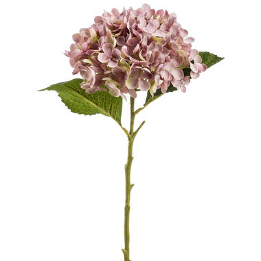 Emerald Kunstbloem hortensia tak - Annabelle - 52 cm - paars product