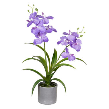 Louis Maes Kunstplant Orchidee - paars bloemen in pot - 38 cm product