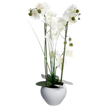 Atmosphera Kunstplant Orchidee - witte bloemen in witte pot - H53 cm product