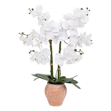 Atmosphera Kunstplant Orchidee - witte bloemen terracotta pot - 65 cm product