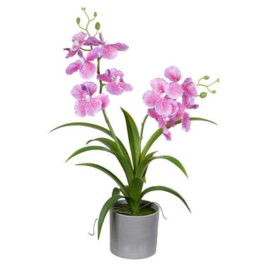 Louis Maes Kunstplant Orchidee - roze bloemen in pot - 38 cm product