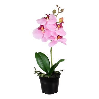 Louis Maes Kunstplant Orchidee - bloemen in het roze - 33 cm product