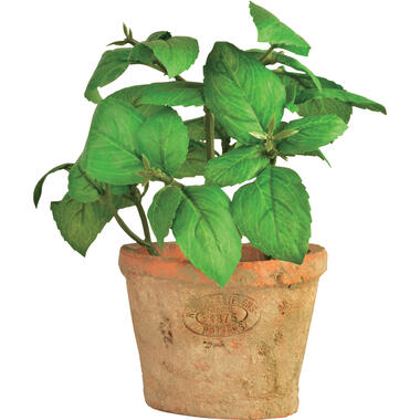 Esschert Design Kunstplant/kruiden basilicum - terracotta pot - 15 cm product