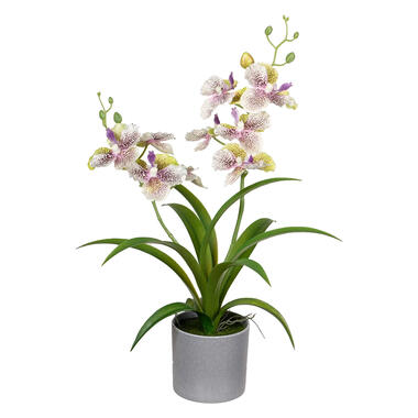 Louis Maes Kunstplant Orchidee - creme/lila bloemen in pot - 38 cm product