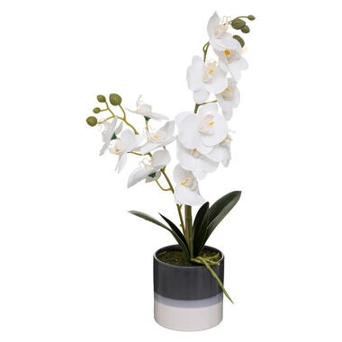 Atmosphera Kunstplant Orchidee - witte bloemen in blauwe pot - 45 cm product