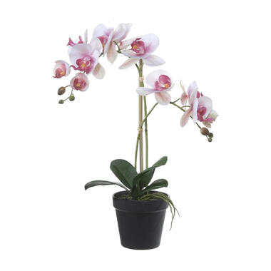 Louis Maes Kunstplant Orchidee - bloemen in het wit/roze - 52 cm product