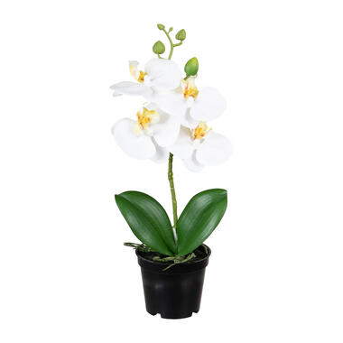 Louis Maes Kunstplant Orchidee - bloemen in het wit - 33 cm product