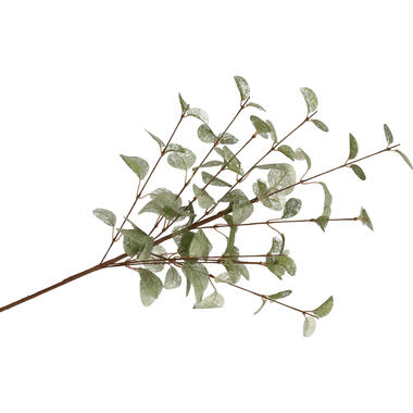 DK Design Kunstbloem Eucalyptus tak Silk - 72 cm - groen product