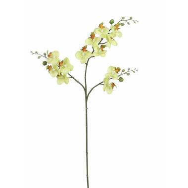 Mica Decorations Kunstbloem Orchidee tak - lichtgeel - 75 cm product