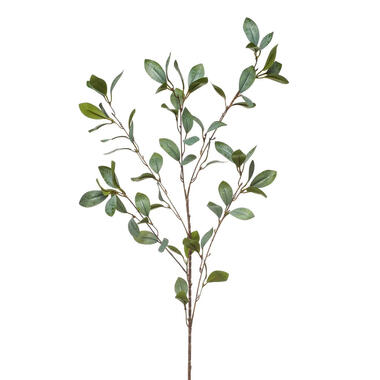 Emerald Kunstbloem Eucalyptus tak - 90 cm - groen product