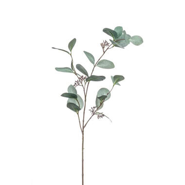 Emerald Kunstbloem Eucalyptus tak - 73 cm - groen product