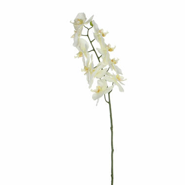 Mica Decorations Kunstbloem Orchidee tak - wit - 71 cm product