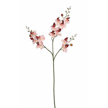 Mica Decorations Kunstbloem Orchidee tak - lichtroze - 75 cm product