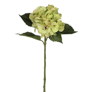 Mica Decorations Kunstbloem Hortensia tak - groen - 51 cm product