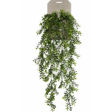 Emerald kunstplant/hangplant - Buxus - groen - 75 cm lang product