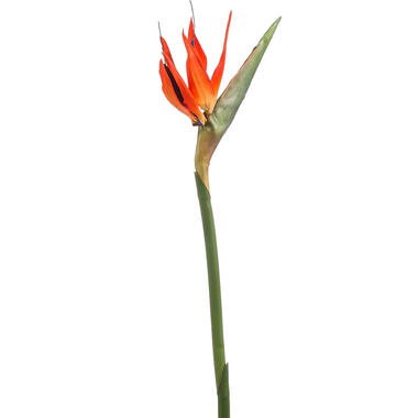 Emerald Kunstbloem Strelitzia - 85 cm - tak - Paradijsvogelplant product