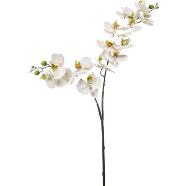 Emerald Kunstbloem Orchidee - 100 cm - wit/groen - Phalaenopsis product