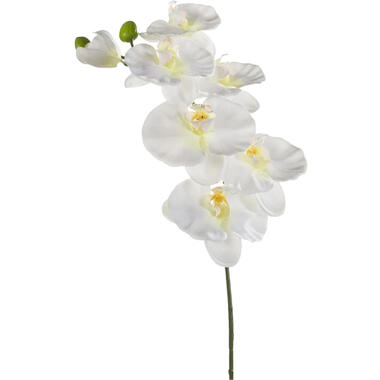 Emerald Kunstbloem Orchidee - 80 cm - wit - Phalaenopsis product