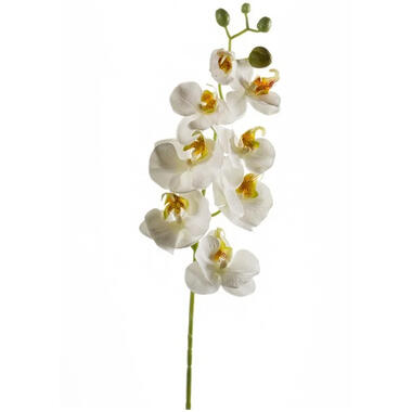 Emerald Kunstbloem Orchidee - 68 cm - wit - Phalaenopsis product