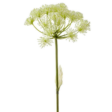 Emerald Kunstbloem - Kunstbloem Berenklauw - 78 cm - wit - Heracleum product