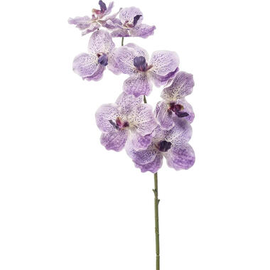 Emerald Kunstbloem Orchidee Vanda - 77 cm - paars - kunst zijdebloem product