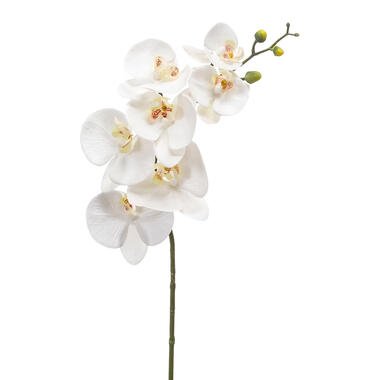 Emerald Kunstbloem Orchidee - 83 cm - wit - Phalaenopsis product