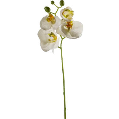 Emerald Kunstbloem Orchidee - 56 cm - wit - Phalaenopsis product