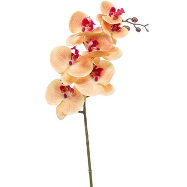 Emerald Kunstbloem Orchidee - 83 cm - zalm kleurig - Phalaenopsis product