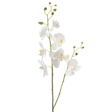 Emerald Kunstbloem Orchidee - 95 cm - wit - Phalaenopsis product