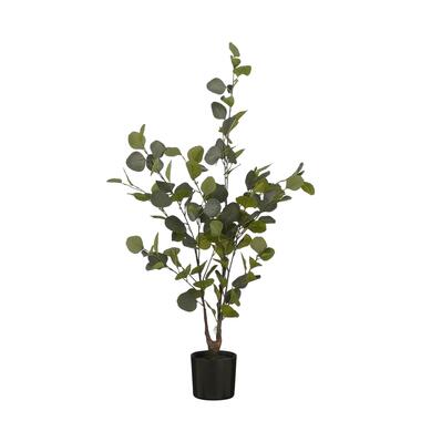 Mica Decorations Kunstplant Eucalyptusboom in Pot - H120 x Ø55 cm product