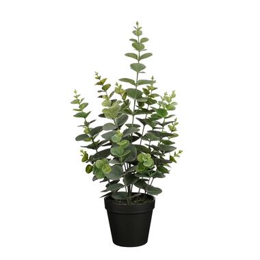 Mica Decorations Eucalyptus Kunstplant - H53 x Ø23 cm - Groen product