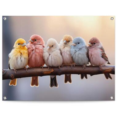 Tuinposter - Pastel Birds - 60x80 cm Canvas product