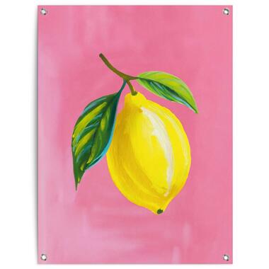 Tuinposter Lemon on Pink - 80x60cm - Geel product